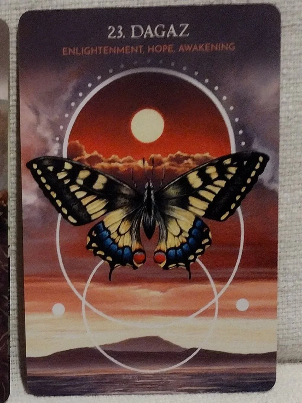 Animal Guide Rune Cards - Picture 14 of 14